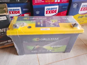 100ah Gold Star Solar Battery