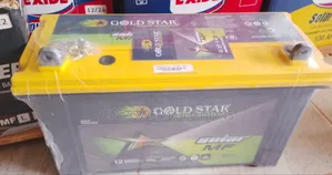 100ah Gold Star Solar Battery