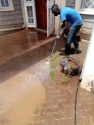 Paver Cleaning