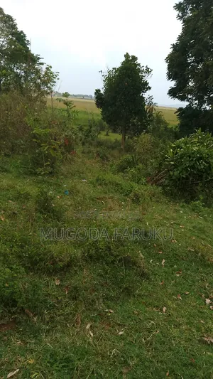 25 Acres of Land for Sale at Entebbe