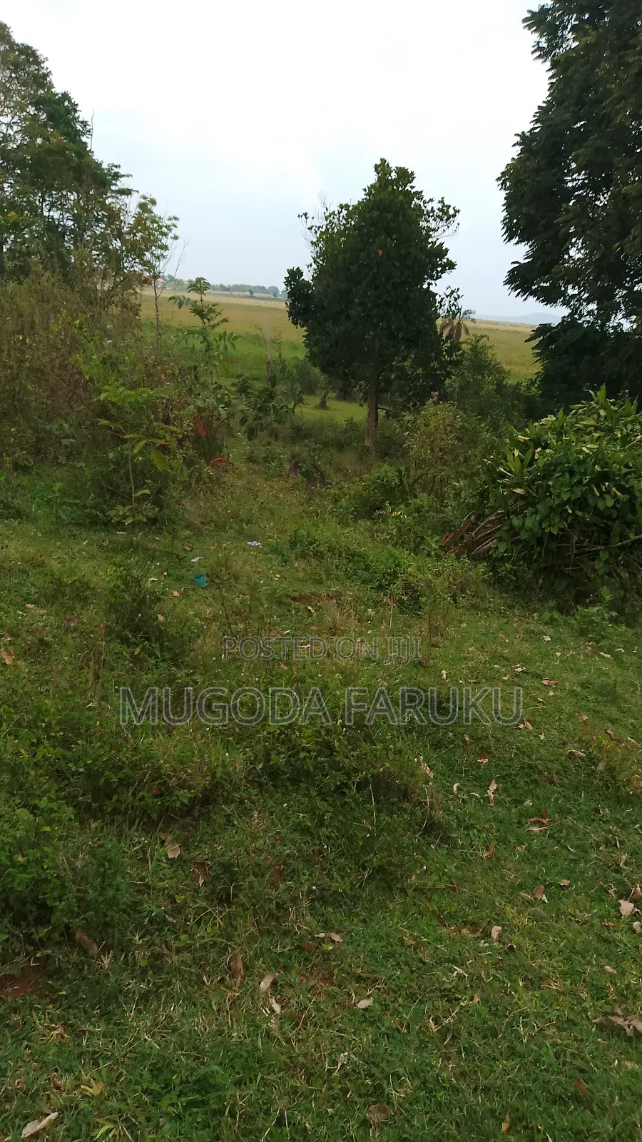 25 Acres of Land for Sale at Entebbe