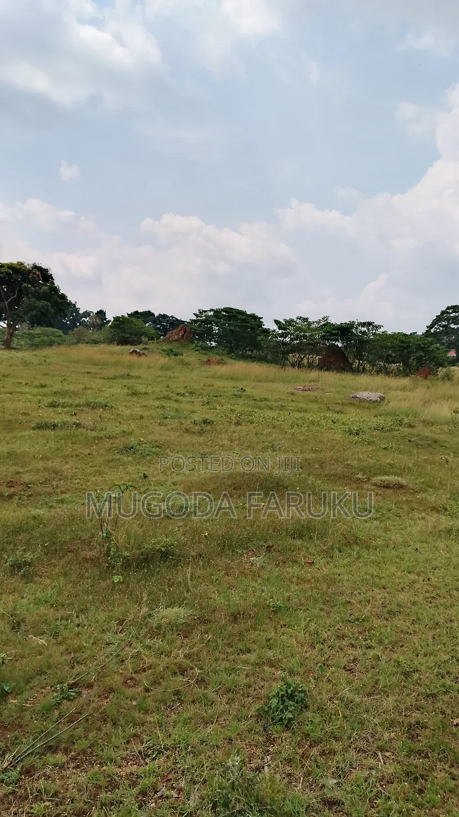 25 Acres of Land for Sale at Entebbe