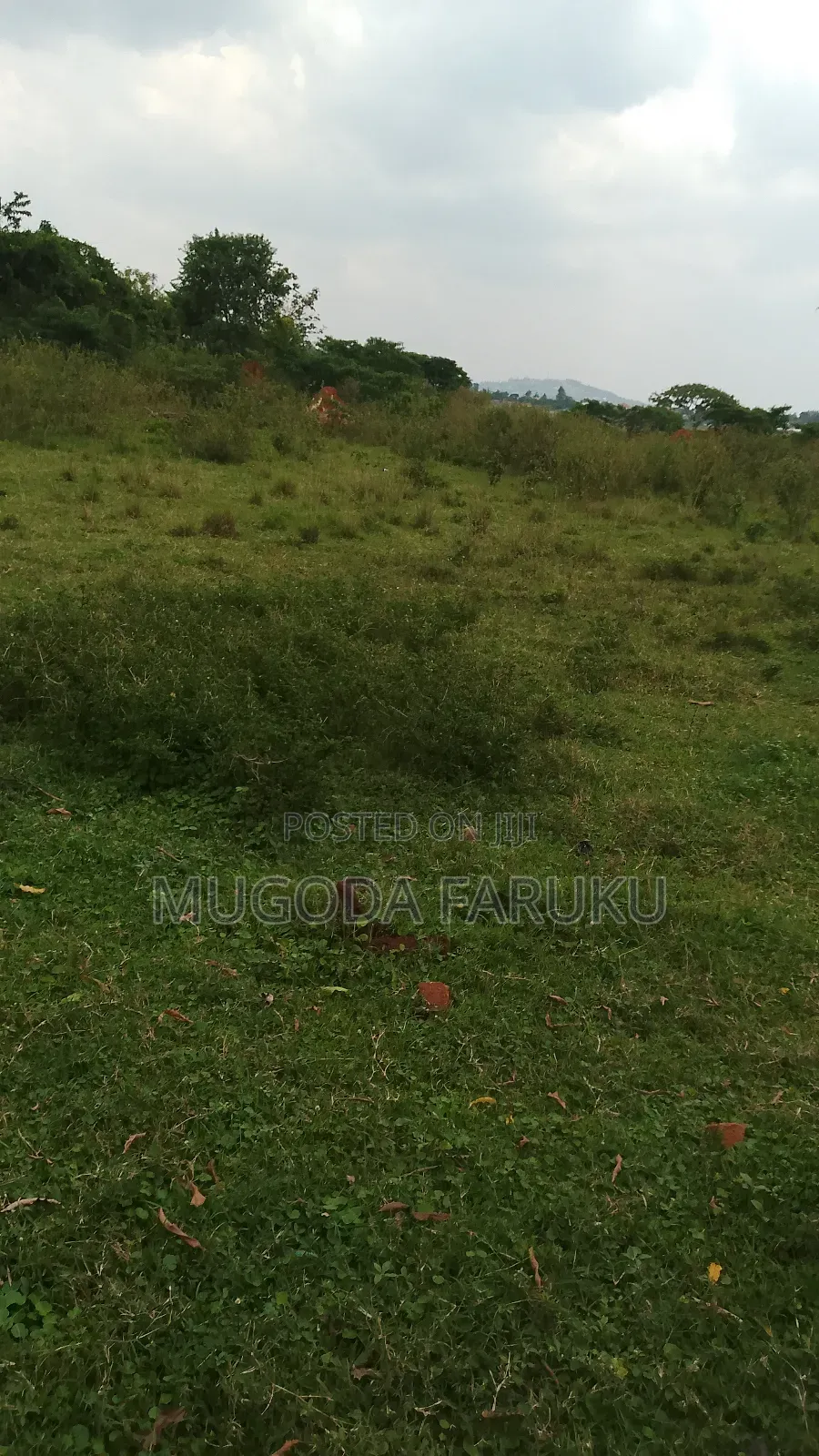 25 Acres of Land for Sale at Entebbe