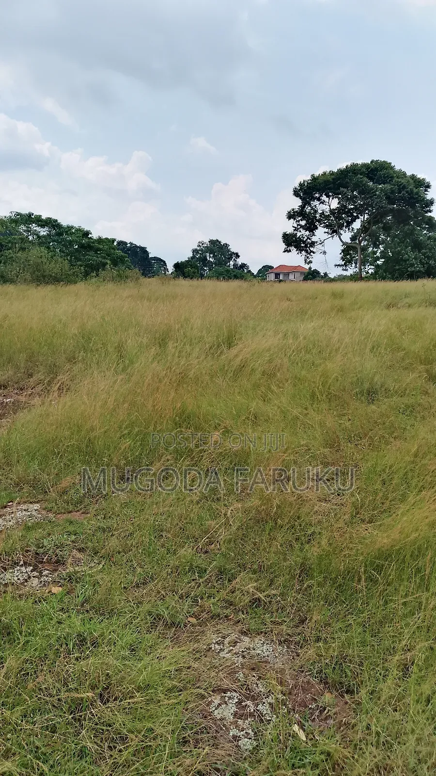 25 Acres of Land for Sale at Entebbe