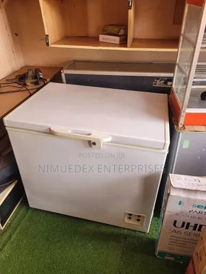 300l Capacity Indest Deep Freezer on Sale