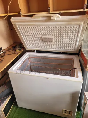 300l Capacity Indest Deep Freezer on Sale