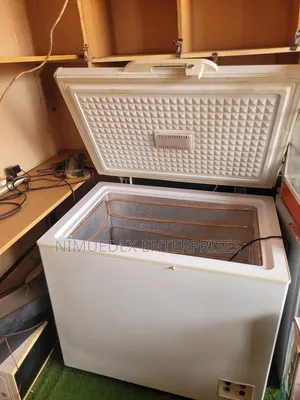 300l Capacity Indest Deep Freezer on Sale