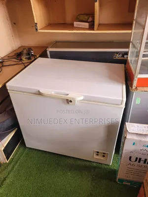 300l Capacity Indest Deep Freezer on Sale