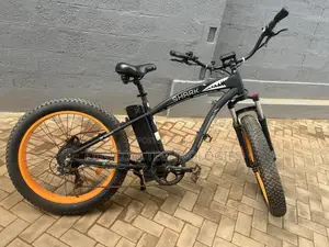Electric Bike (Big Fat Tyre) 750w Motor