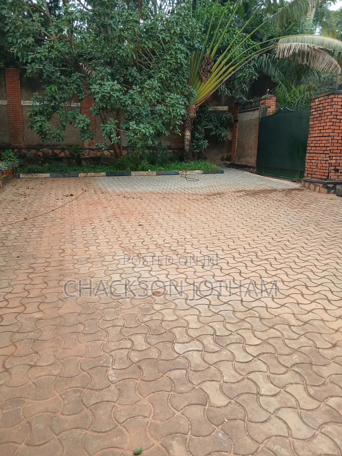 Paver And Roof
