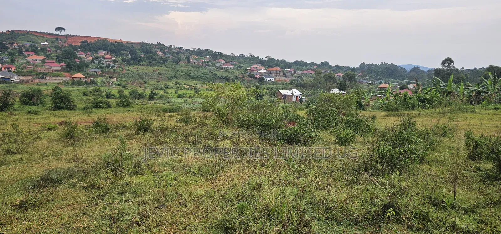 4 Acres on Quick Sale Neighbouring Wakiso Town