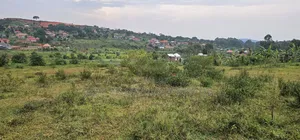 4 Acres on Quick Sale Neighbouring Wakiso Town