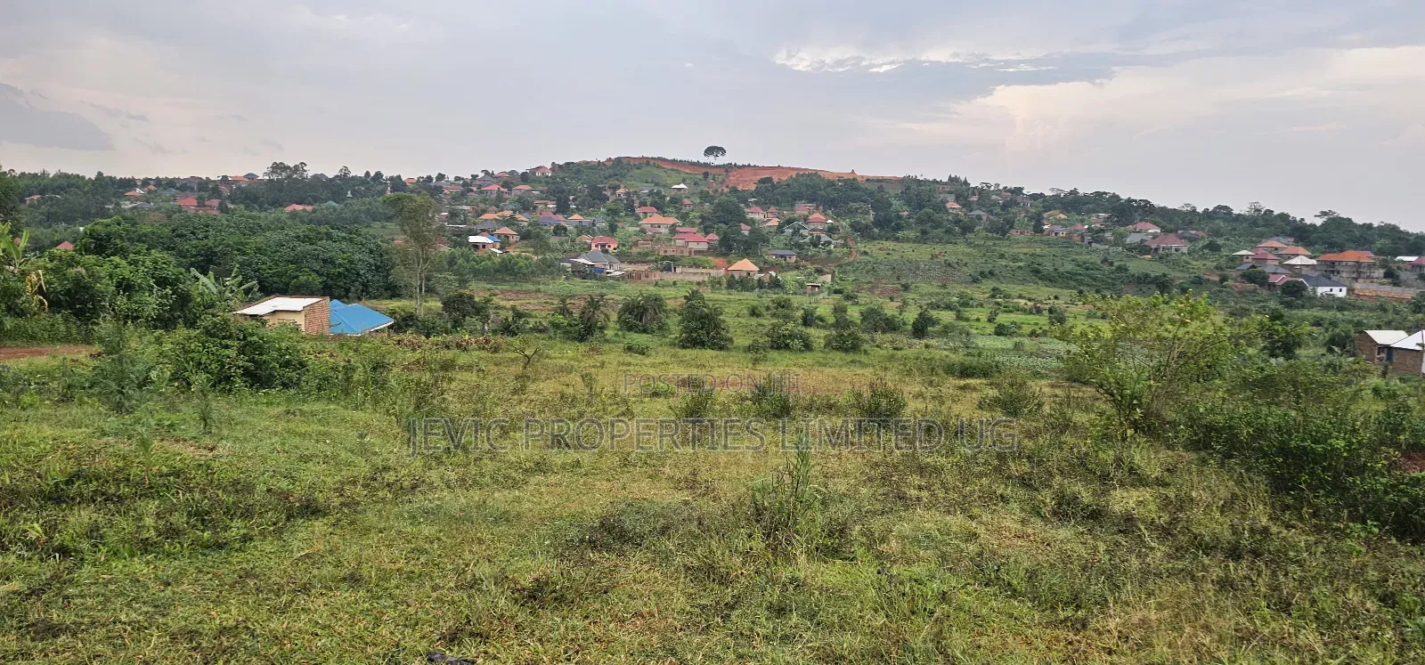 4 Acres on Quick Sale Neighbouring Wakiso Town