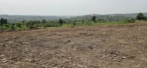 Only 2 M Ugx at Kakiri Gobero -Seganga