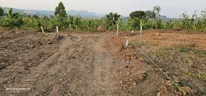 Only 2 M at Kakiri Gobero Estate Phase 1111