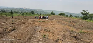 Only 2 M at Kakiri Gobero Estate Phase 1111