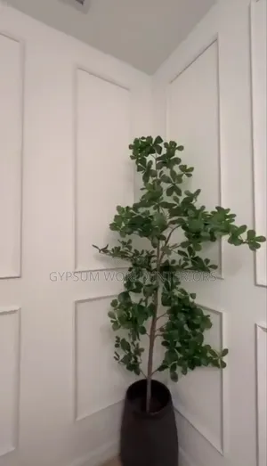 Wall Moulding Designs
