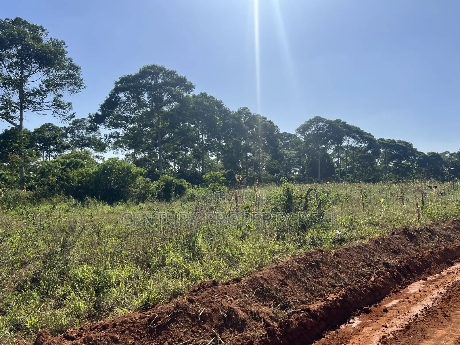 Land in Mpigi ( Kikunyu) 50 by 100