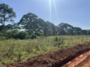 Land in Mpigi ( Kikunyu) 50 by 100