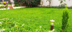 4bdrm House in Kololo, Central Division for rent
