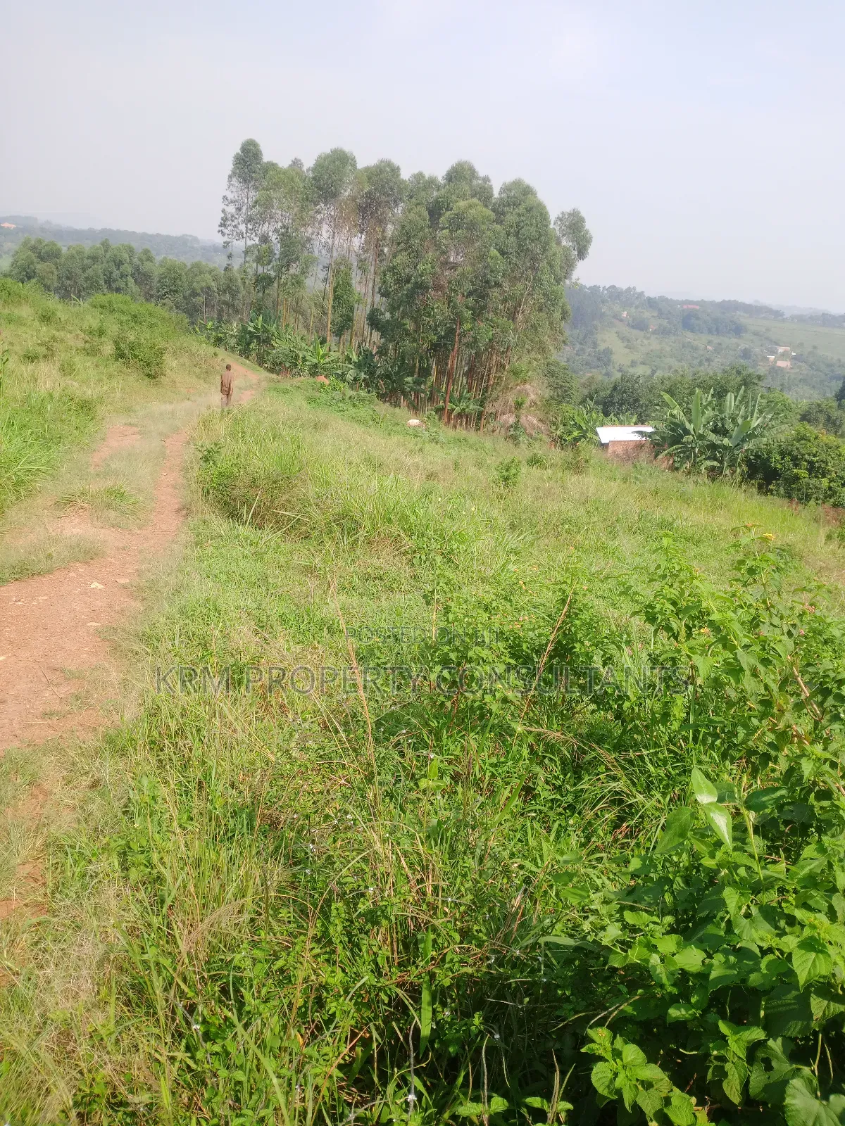 Plot for Sale