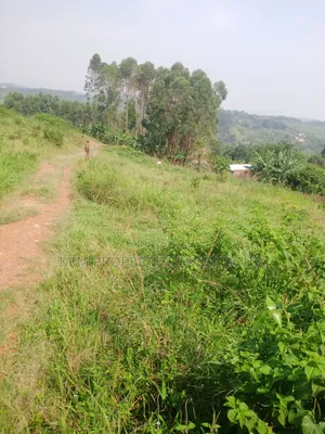 Plot for Sale
