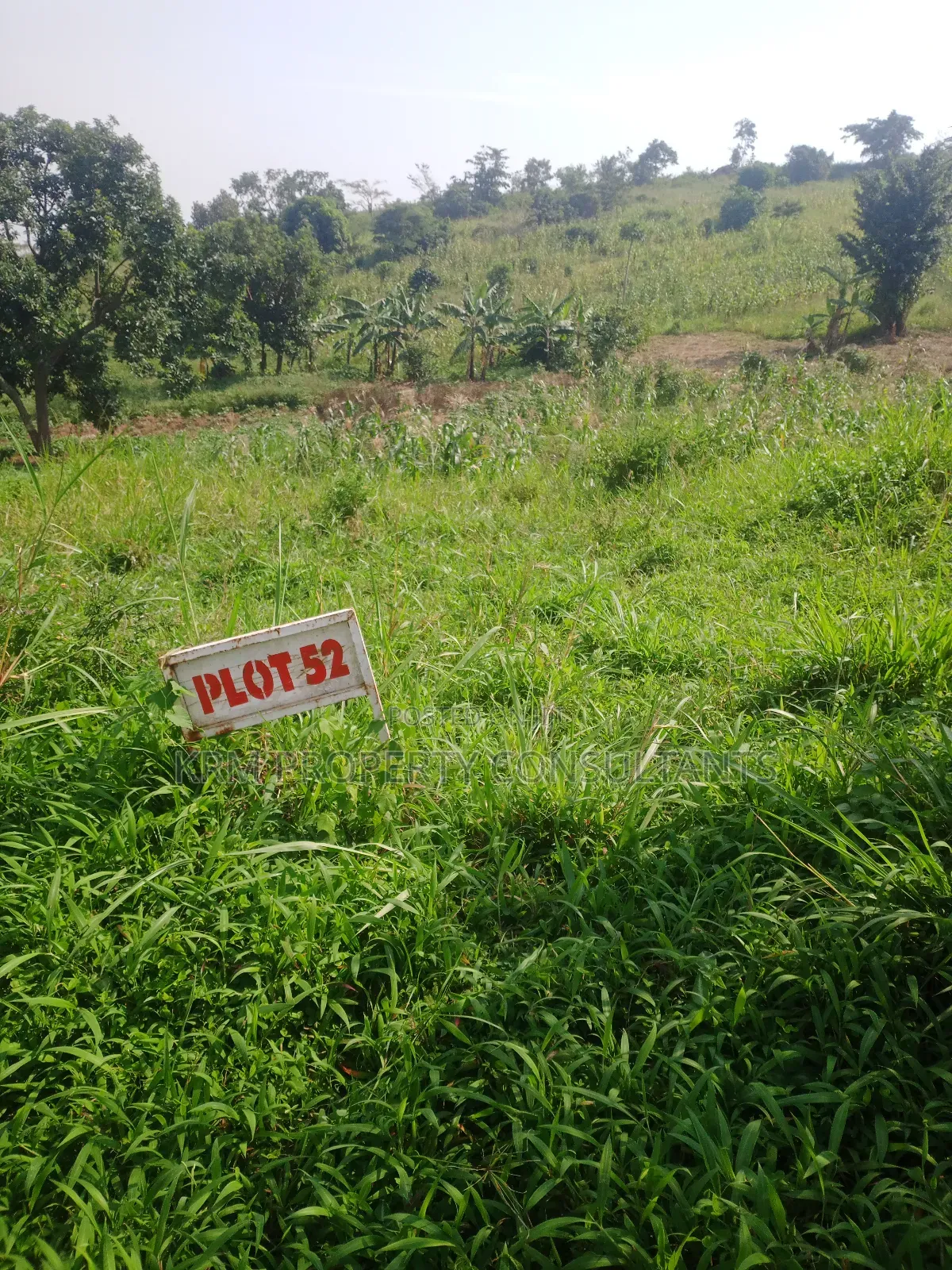 Plot for Sale