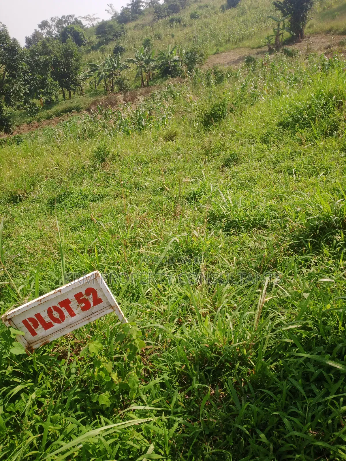 Plot for Sale