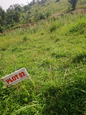 Plot for Sale