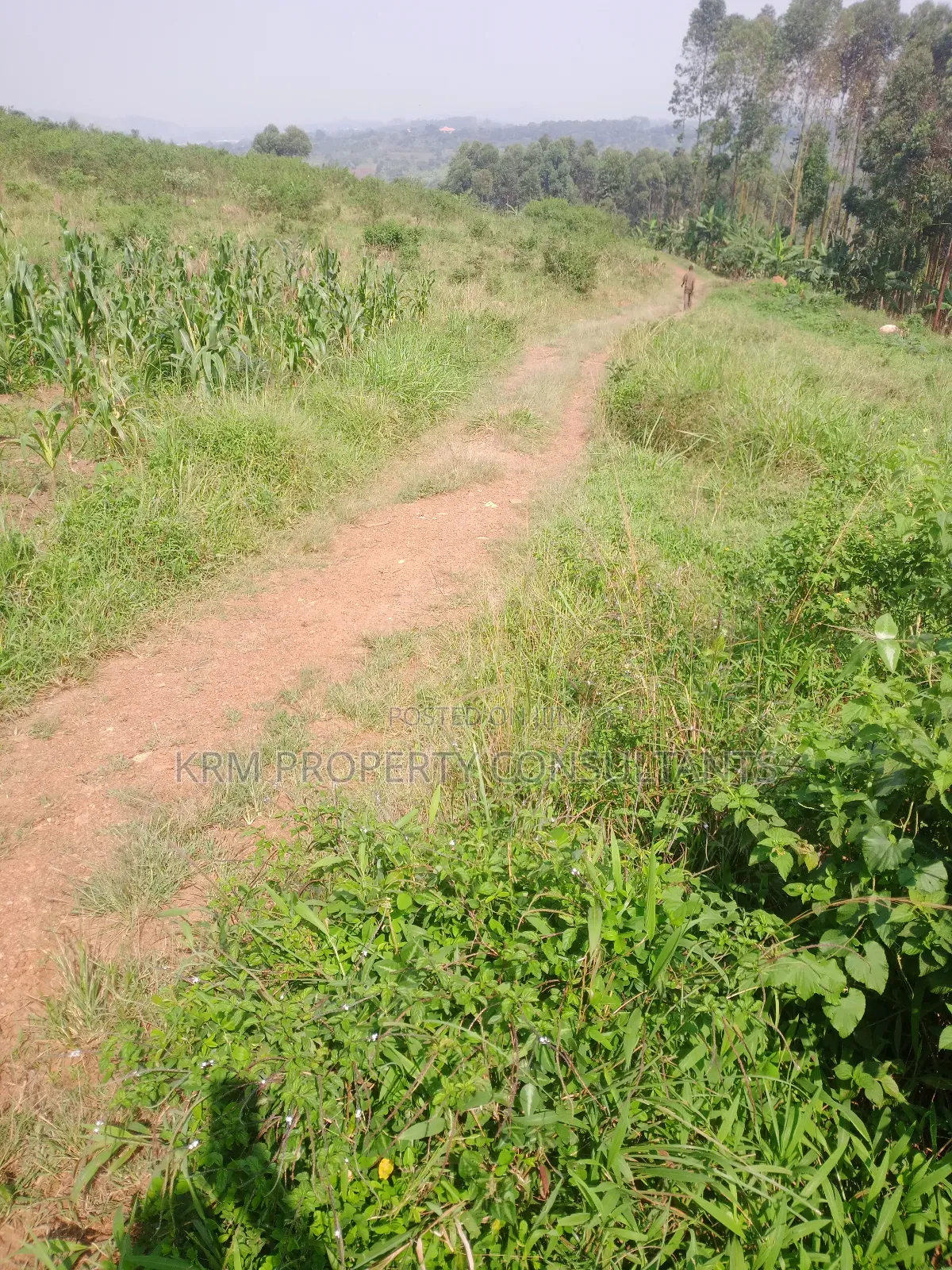 Plot for Sale
