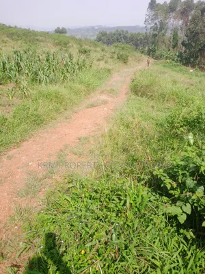 Plot for Sale