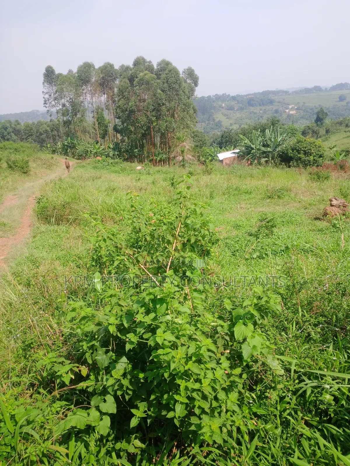 Plot for Sale