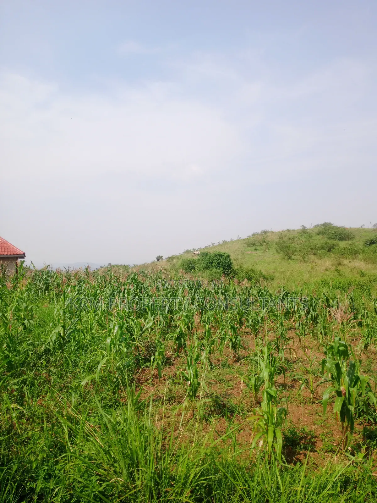Plot for Sale
