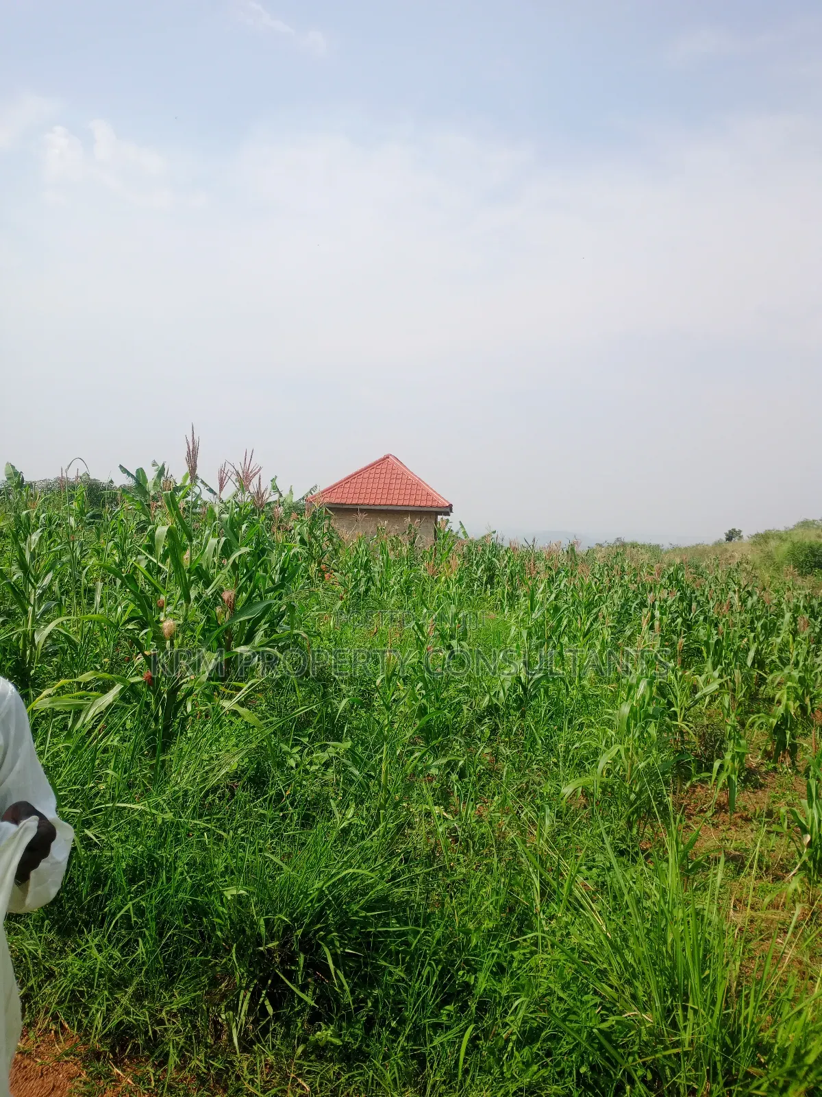 Plot for Sale