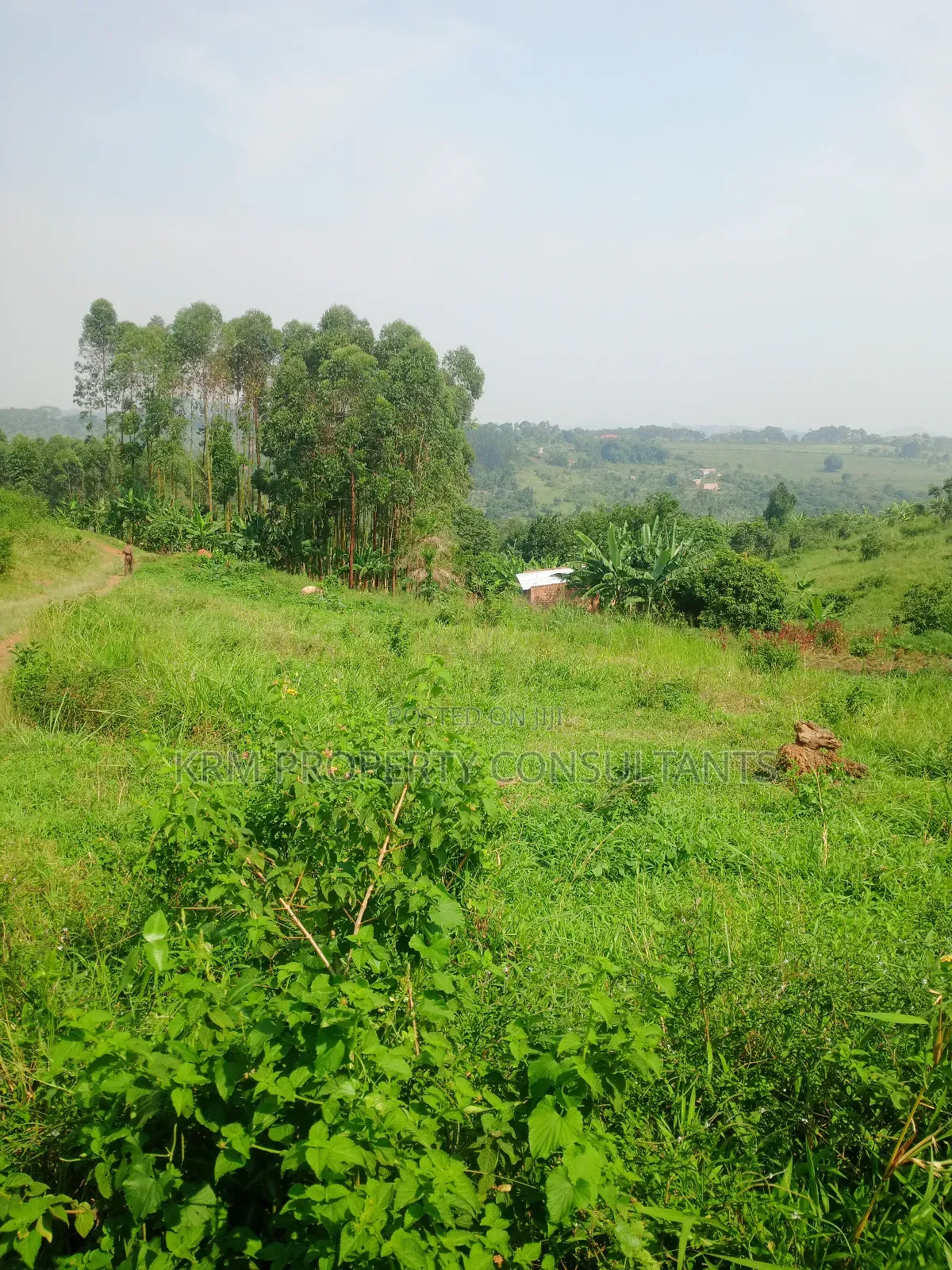 Plot for Sale