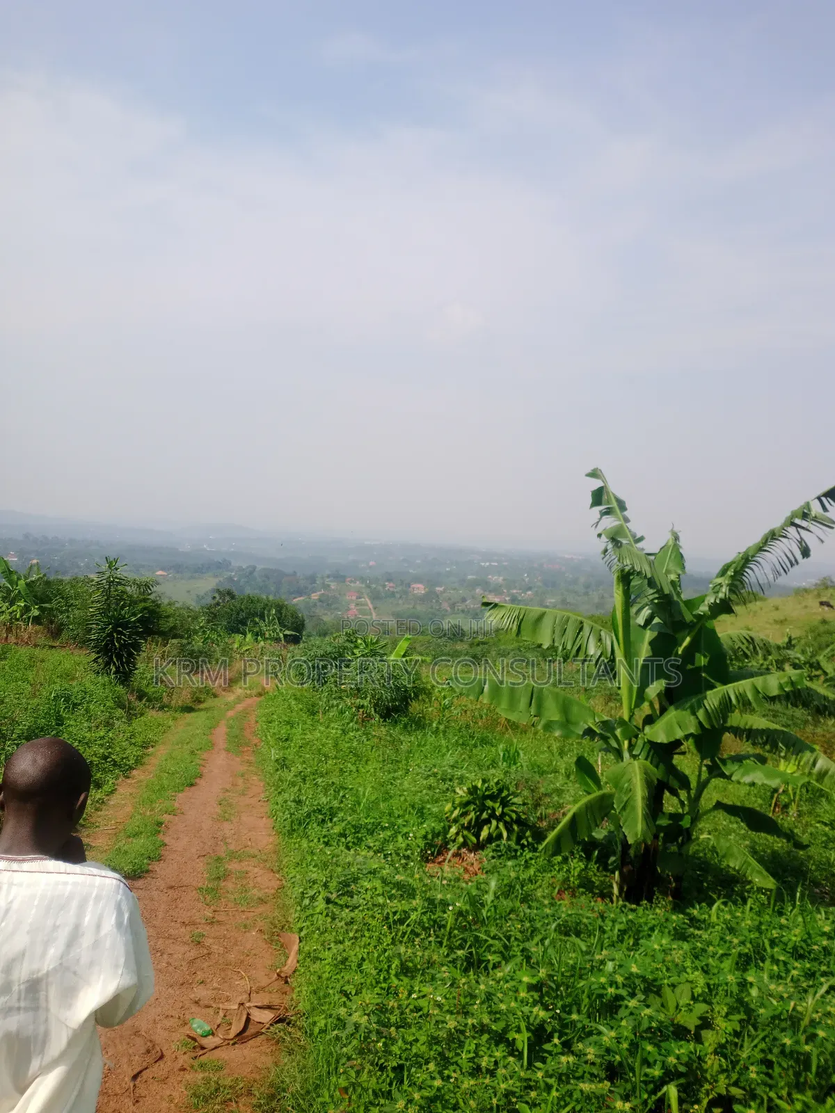 Plot for Sale