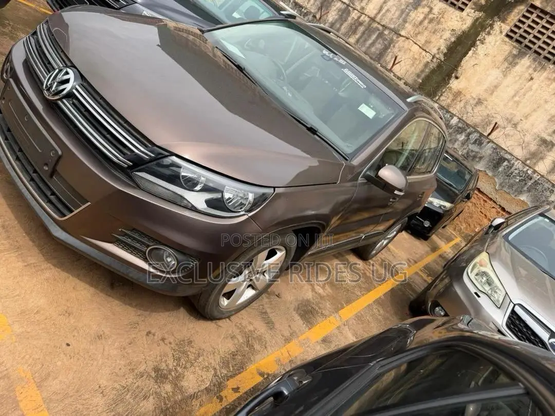 Volkswagen Tiguan 2014 Gray