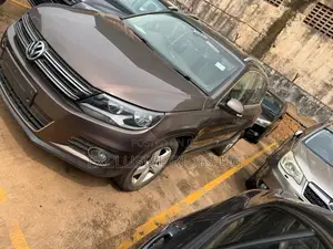 Volkswagen Tiguan 2014 Gray
