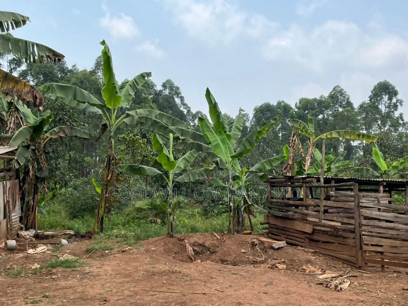 5bdrm House in Burondo Wakiso, Central Division for sale