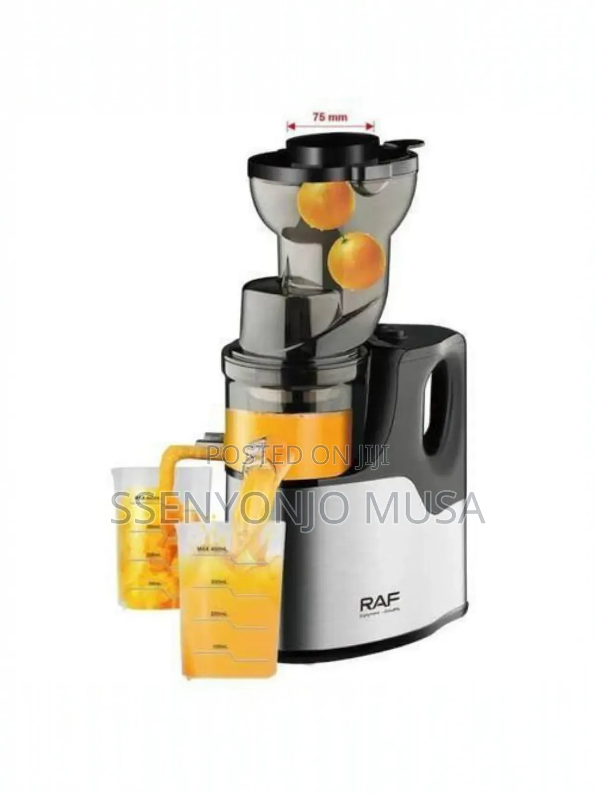 Raf Slow Juicer R.2857 | 150w Cold Press Juicer