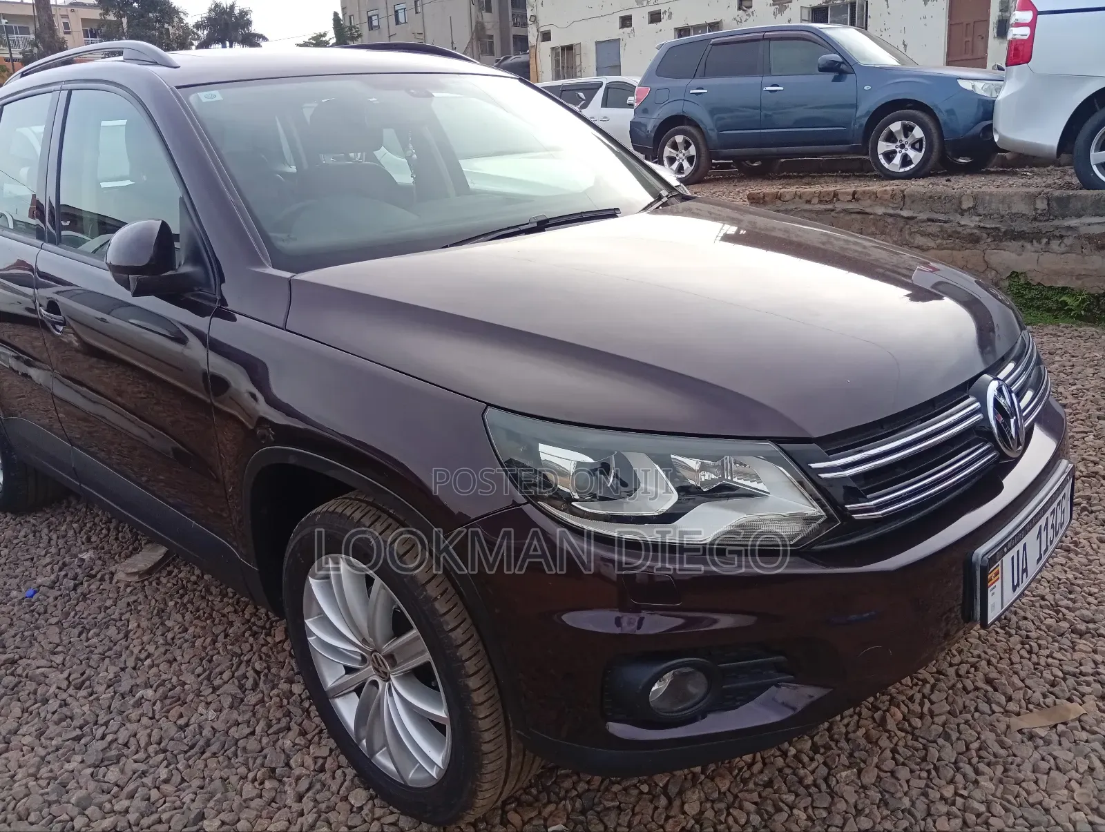 Volkswagen Tiguan 2013 Ivory