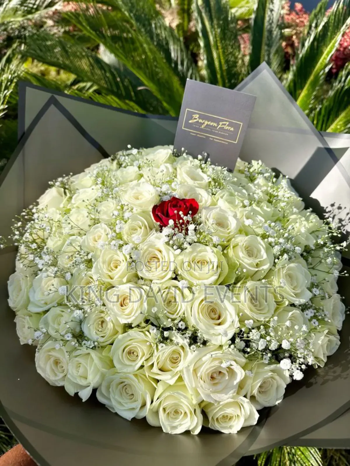 White Rose Flowers