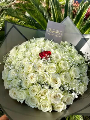 White Rose Flowers