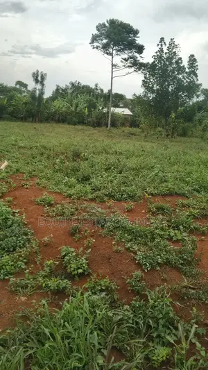 Plot for Sale in Kikandwa, Mukono (Kayunga Road). 50x50 Ft, 2m Only