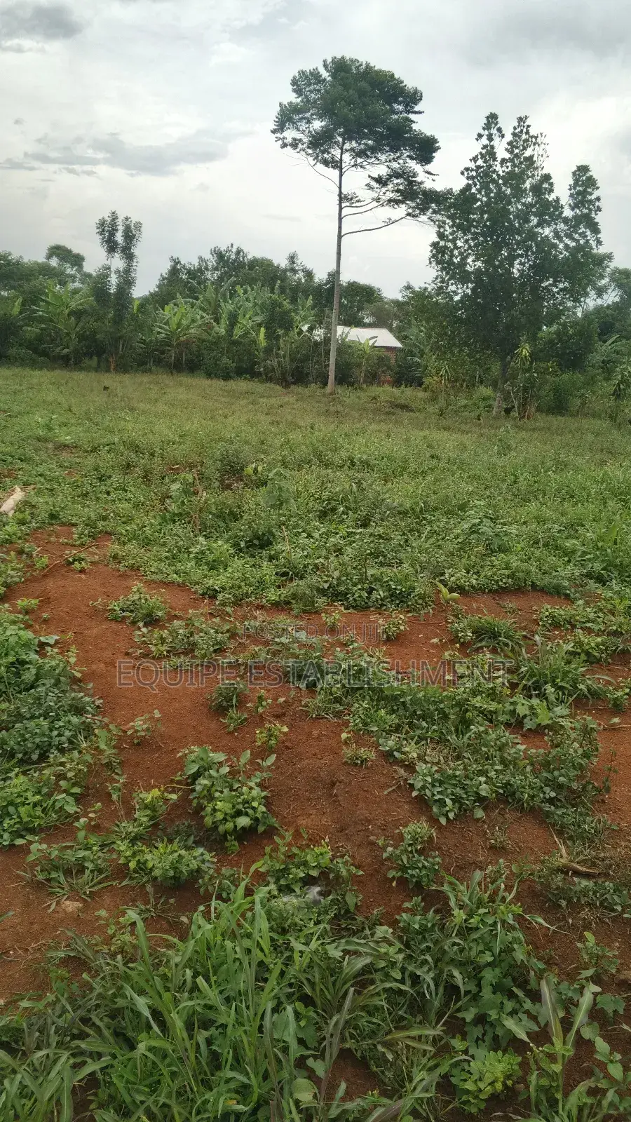 Plot for Sale in Kikandwa, Mukono (Kayunga Road). 50x50 Ft, 2m Only