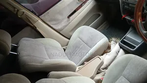 Toyota Gaia 2003 Gray