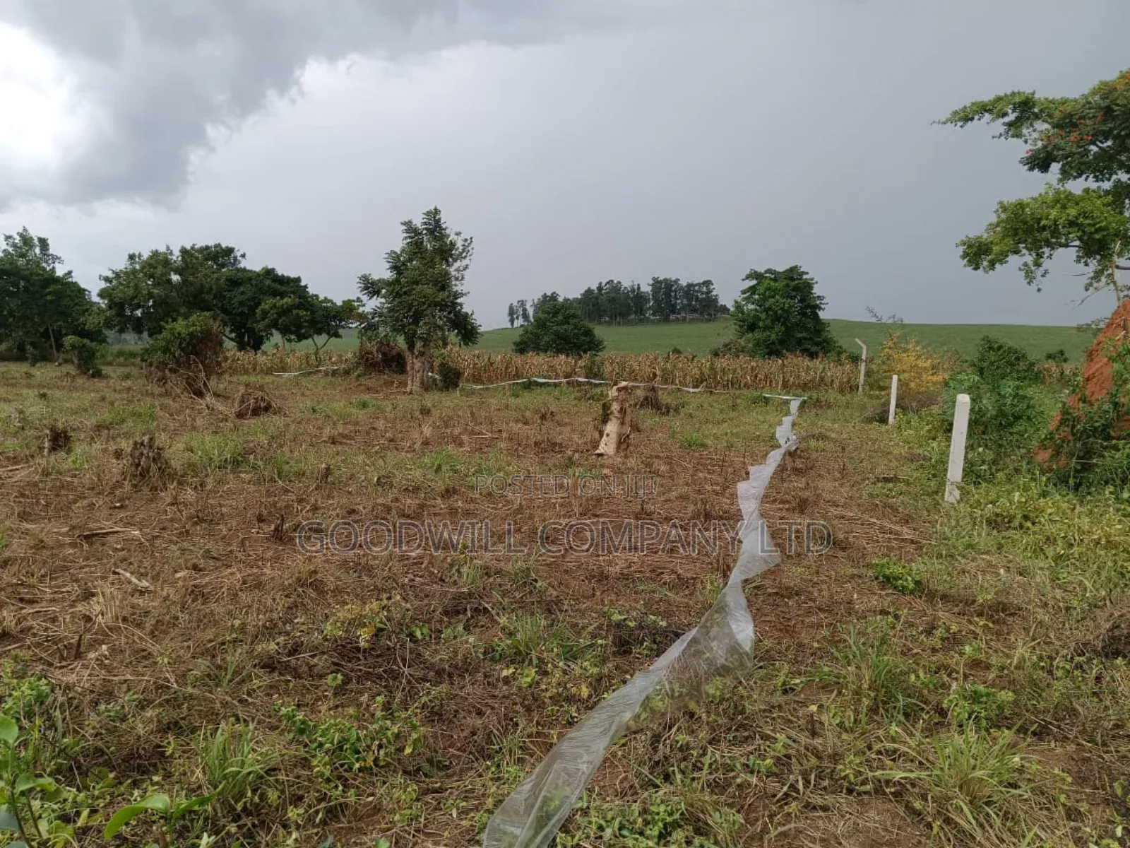 10 Acres of Land in Mbalala Mukono