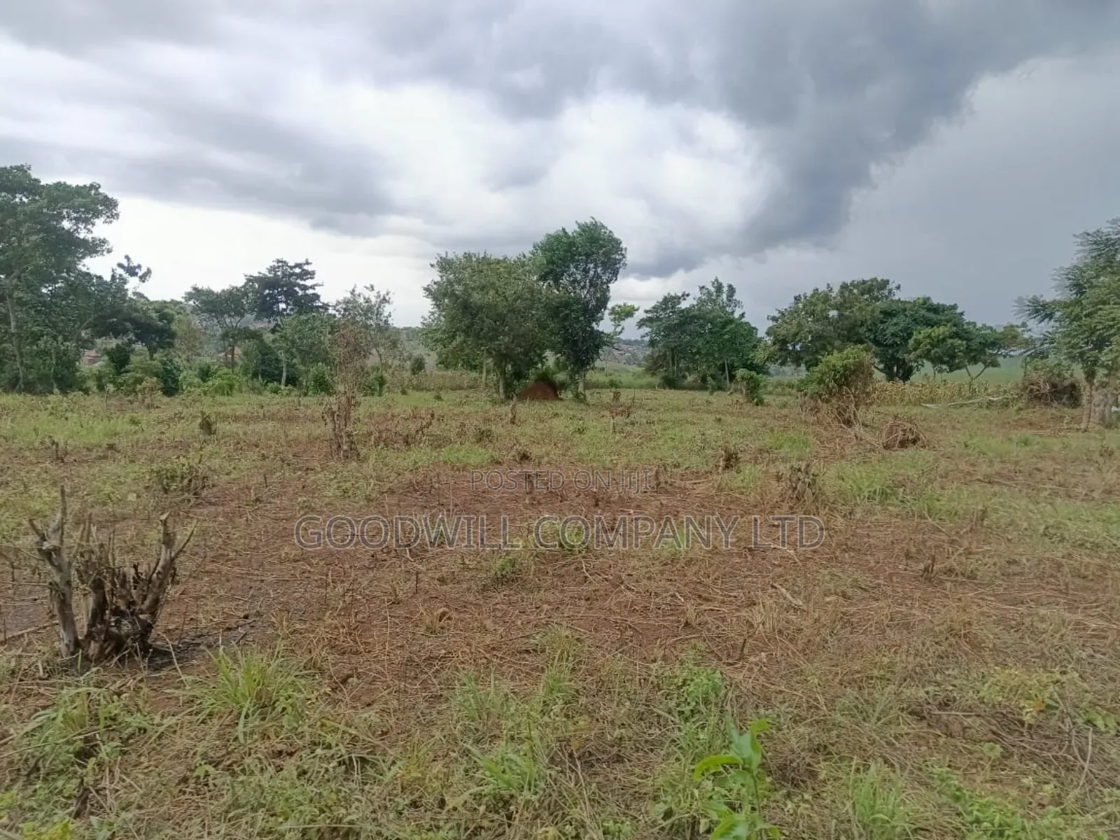 10 Acres of Land in Mbalala Mukono