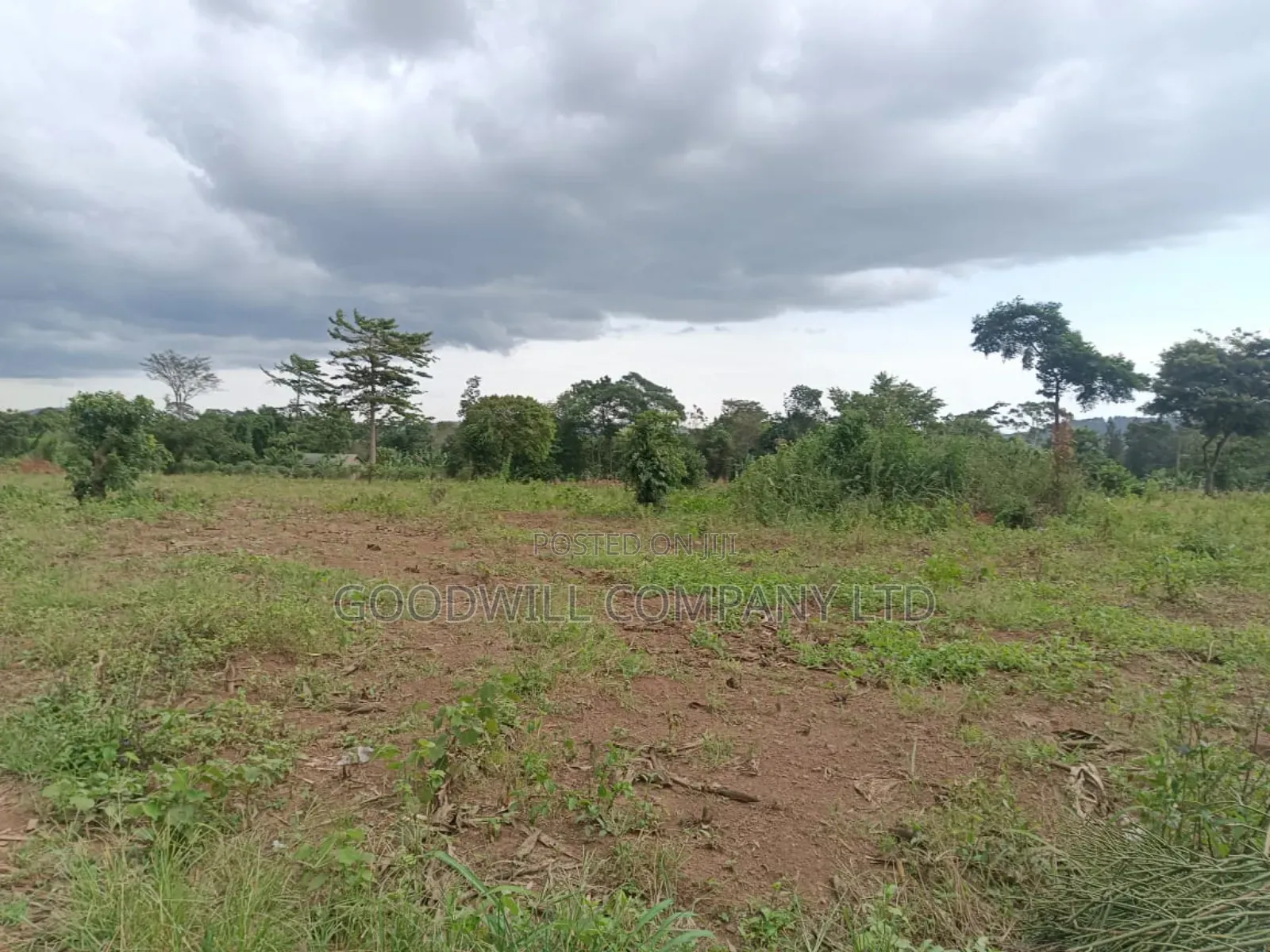 10 Acres of Land in Mbalala Mukono