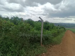 10 Acres of Land in Mbalala Mukono